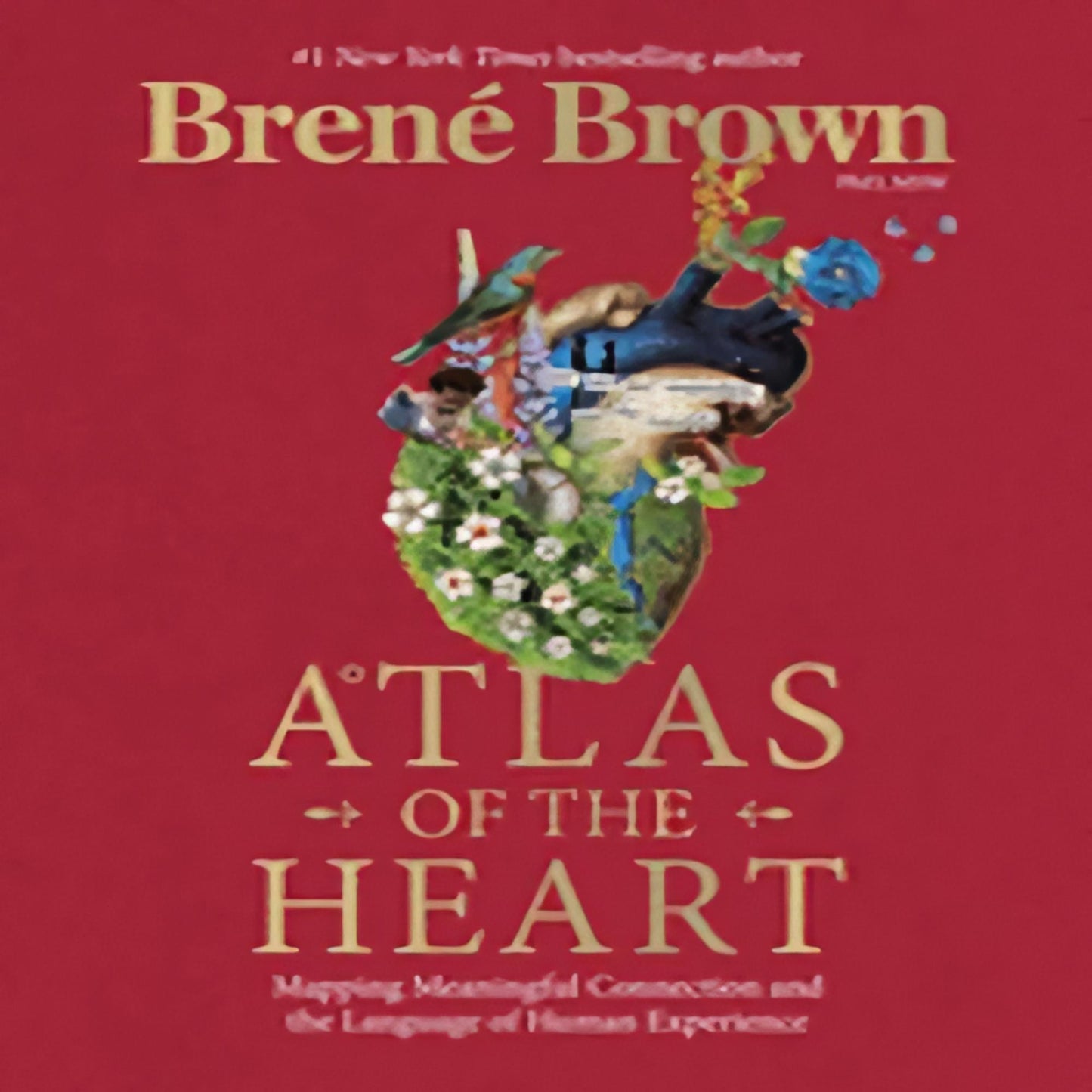 Atlas of the Heart: Mapping Meaningful Connection and the Language of Human Experience112-022123-0399592555DPGBOOKSTORE.COM. Today's Bestsellers.