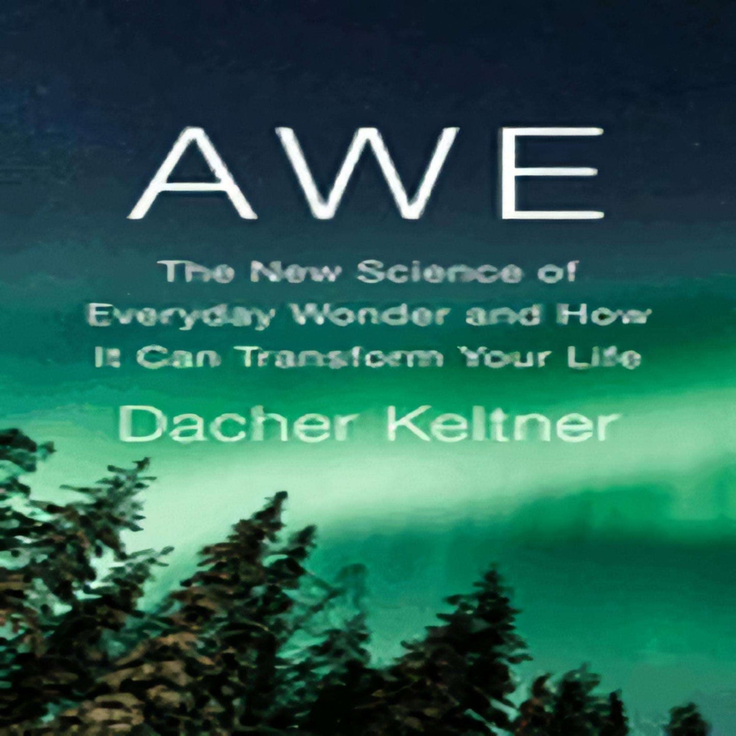Awe: The New Science of Everyday Wonder and How It Can Transform Your Life154-022623-1984879685DPGBOOKSTORE.COM. Today's Bestsellers.