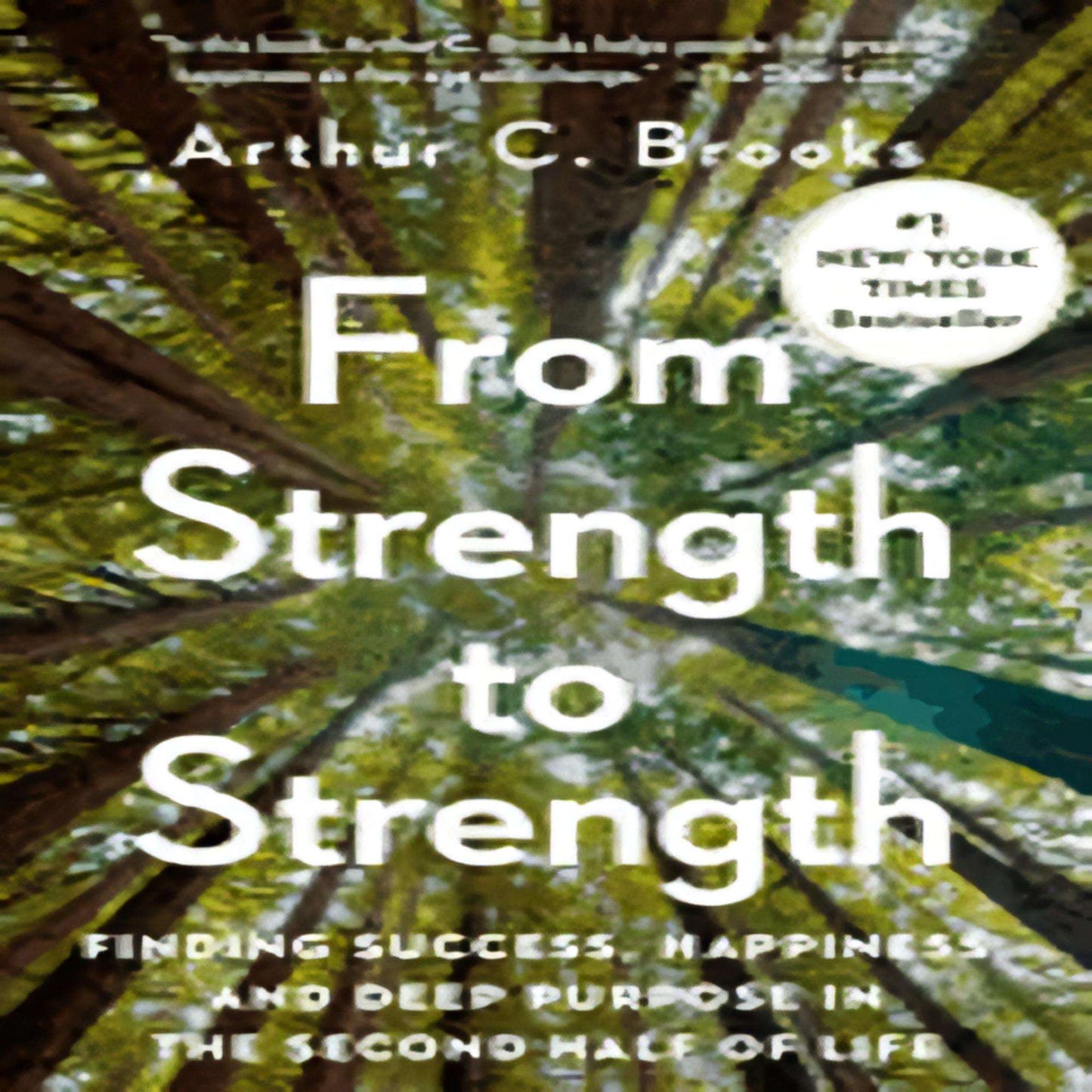From Strength to Strength: Finding Success, Happiness, and Deep Purpose in the Second Half of Life117-022123-059319148XDPGBOOKSTORE.COM. Today's Bestsellers.
