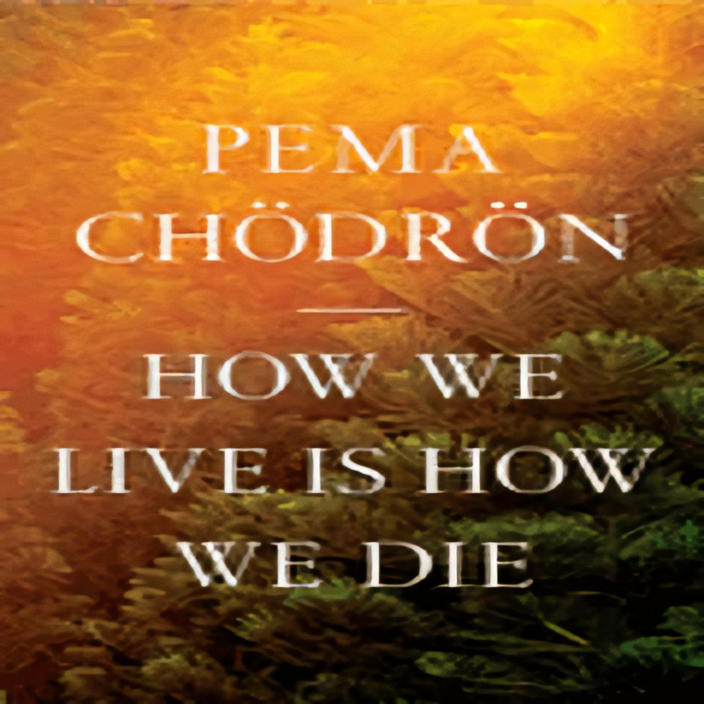 How We Live Is How We Die99-021923-161180924XDPGBOOKSTORE.COM. Today's Bestsellers.