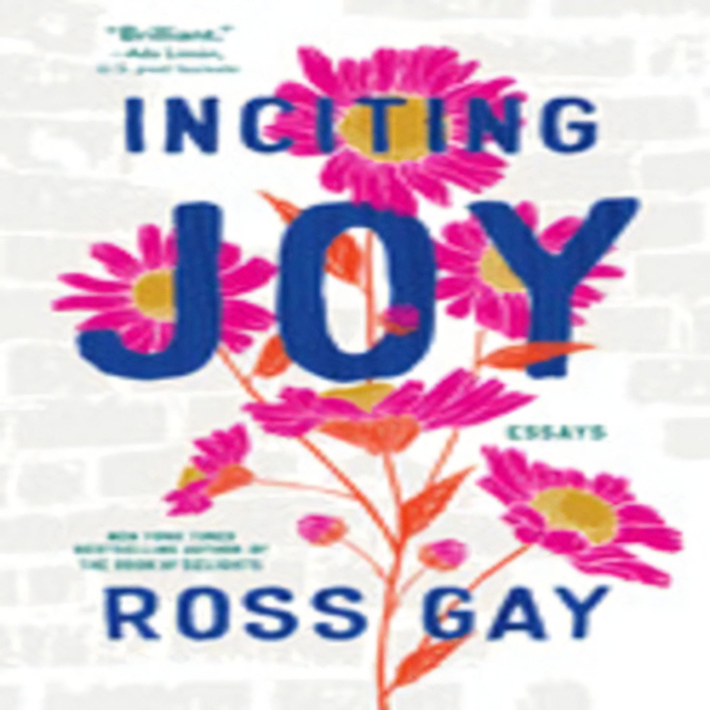 Inciting Joy: Essays742-050823-9781643753041DPGBOOKSTORE.COM. Today's Bestsellers.