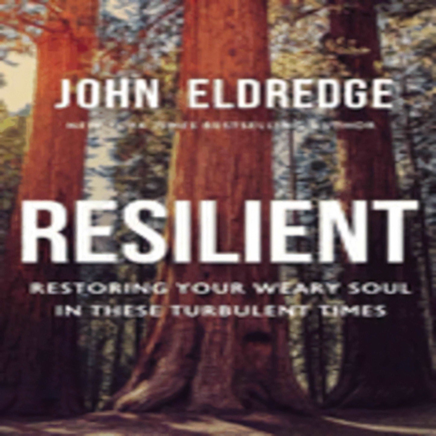 Resilient: Restoring Your Weary Soul in These Turbulent Times236-031623-1400208645DPGBOOKSTORE.COM. Today's Bestsellers.